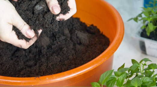 General Types Of Plant Fertilizer NZ For Garden And Farm Use