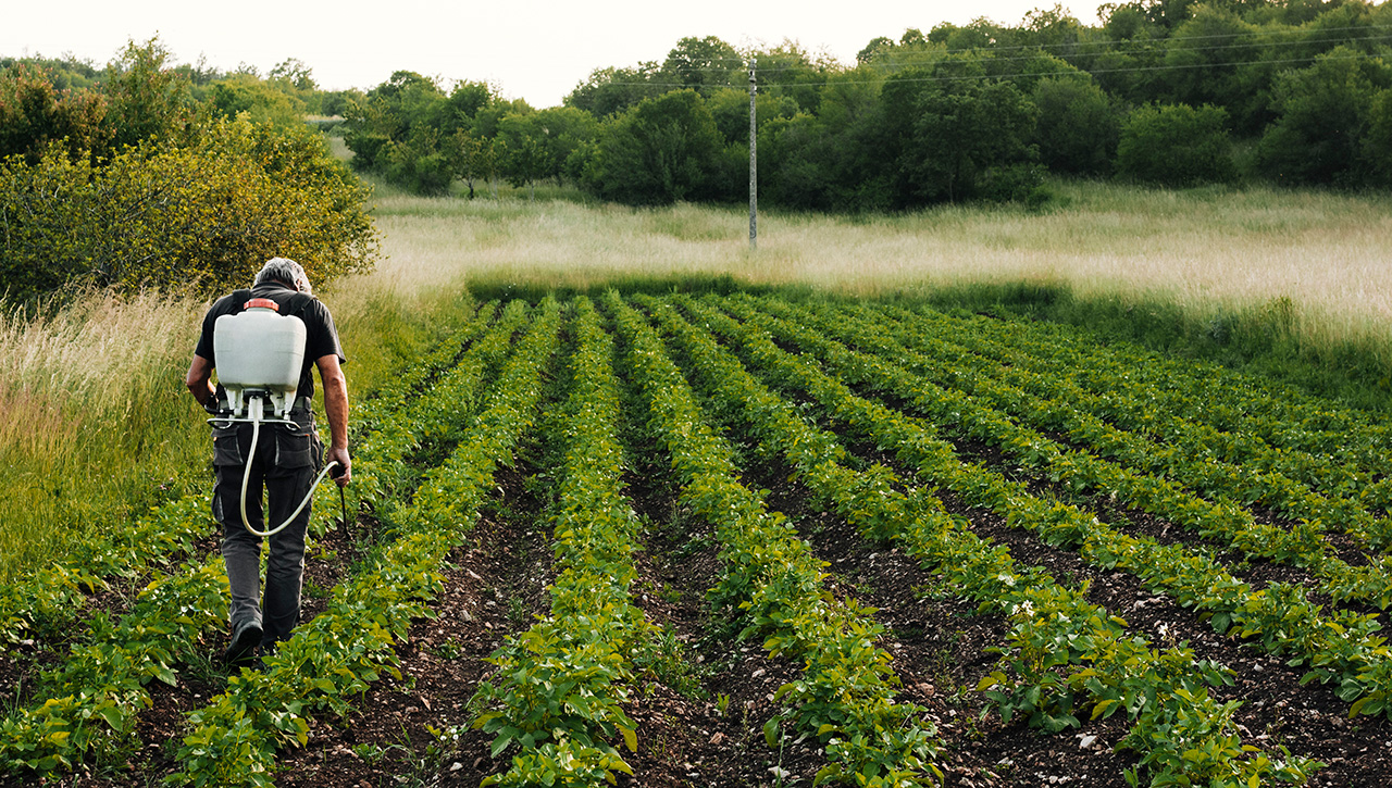 What You Need to know About Mineral-Based Fertilizers