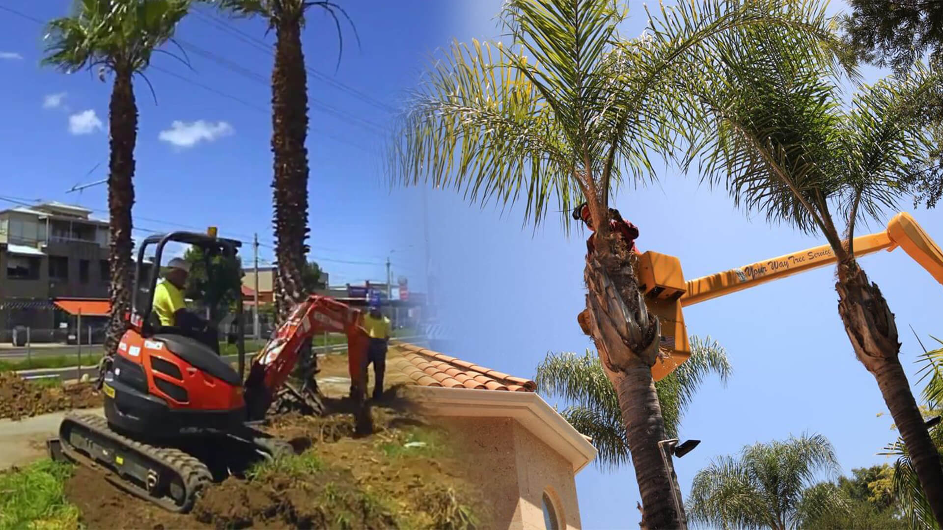 tree removal Brisbane