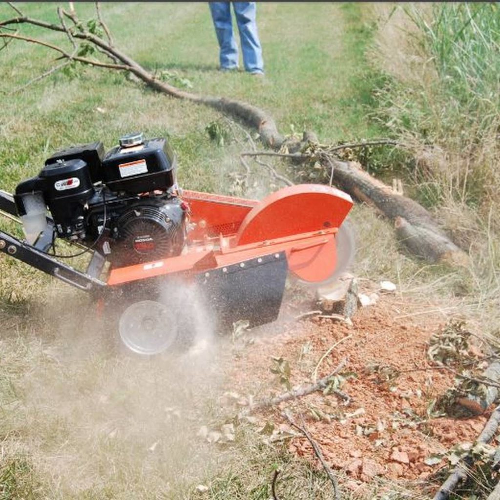 stump grinding Gold Coast