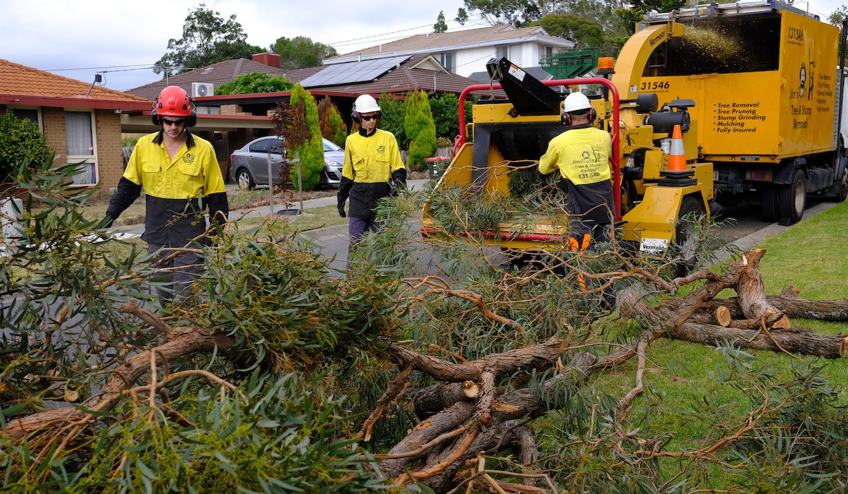 Choose High-quality Stump Grinding Machines For Better Results In Gold Coast