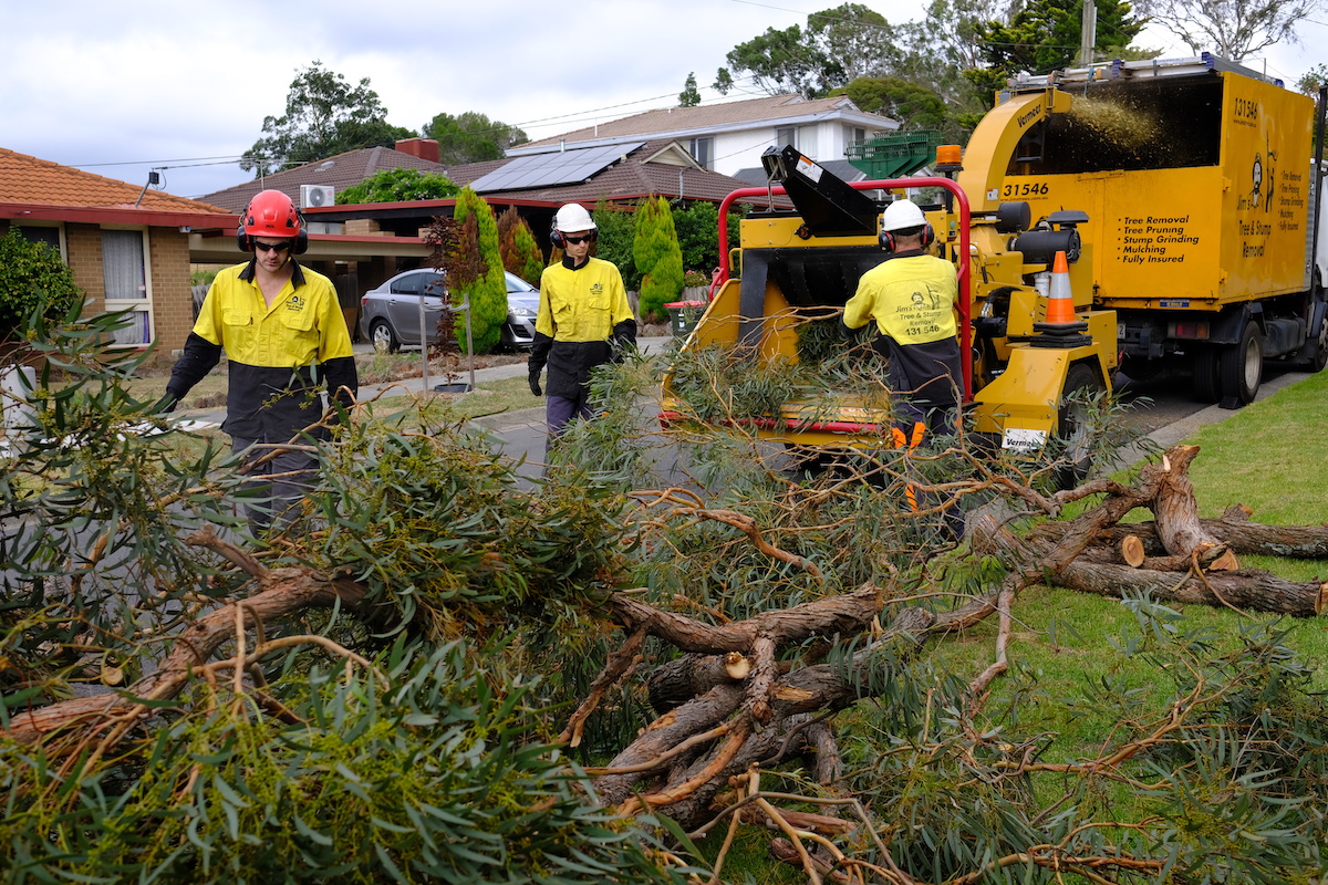 stump grinding Gold Coast