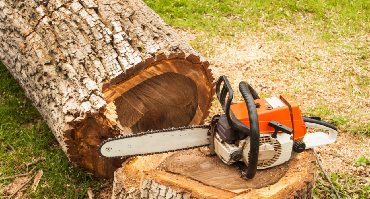 Get Rid Of Road Accidents Via Hiring Tree Removal Brisbane