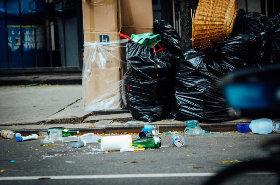 Wellington Rubbish