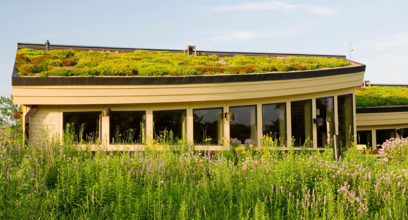 The Benefits of Green Roofing in Australia