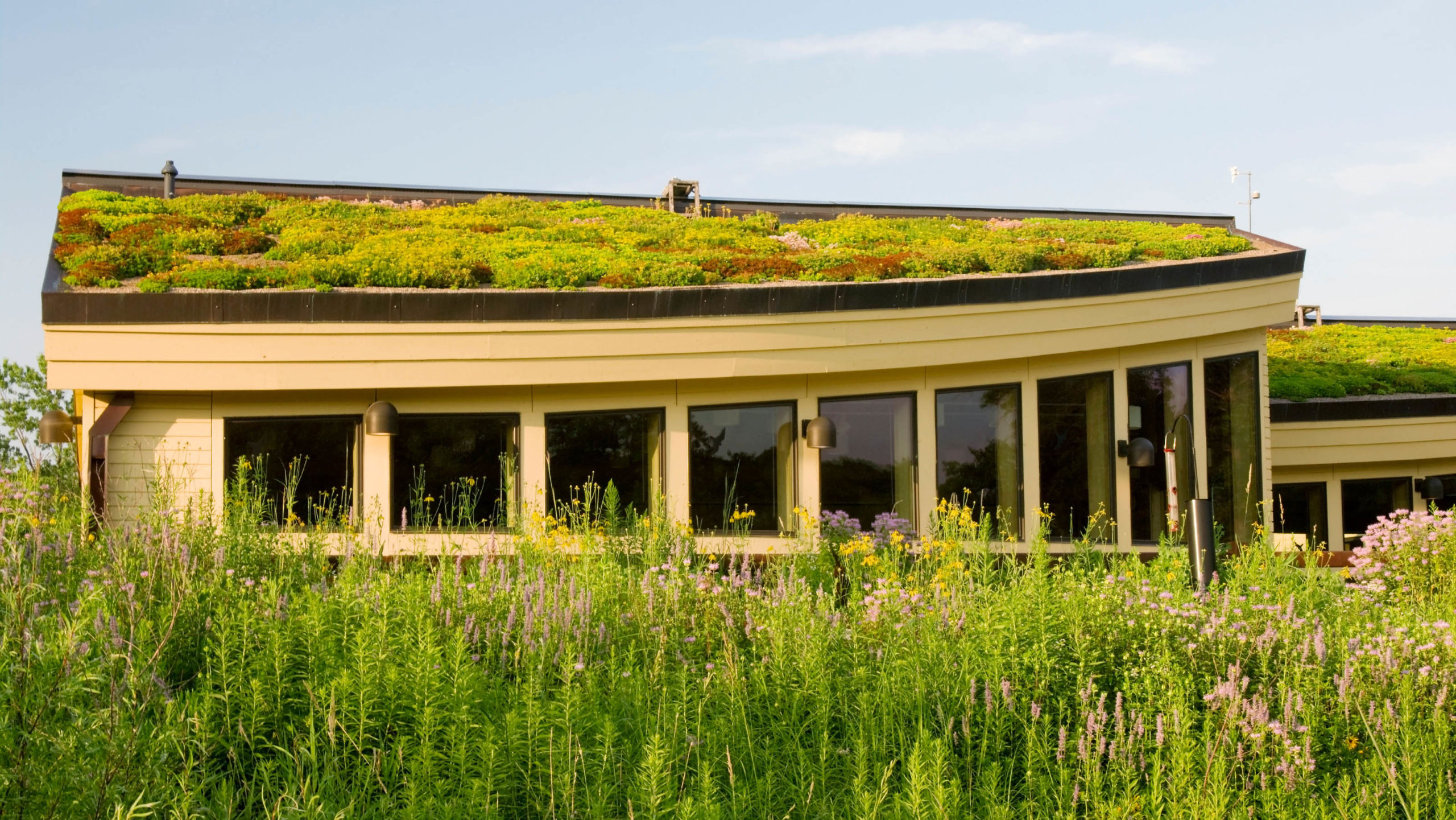 green roofing in Australia