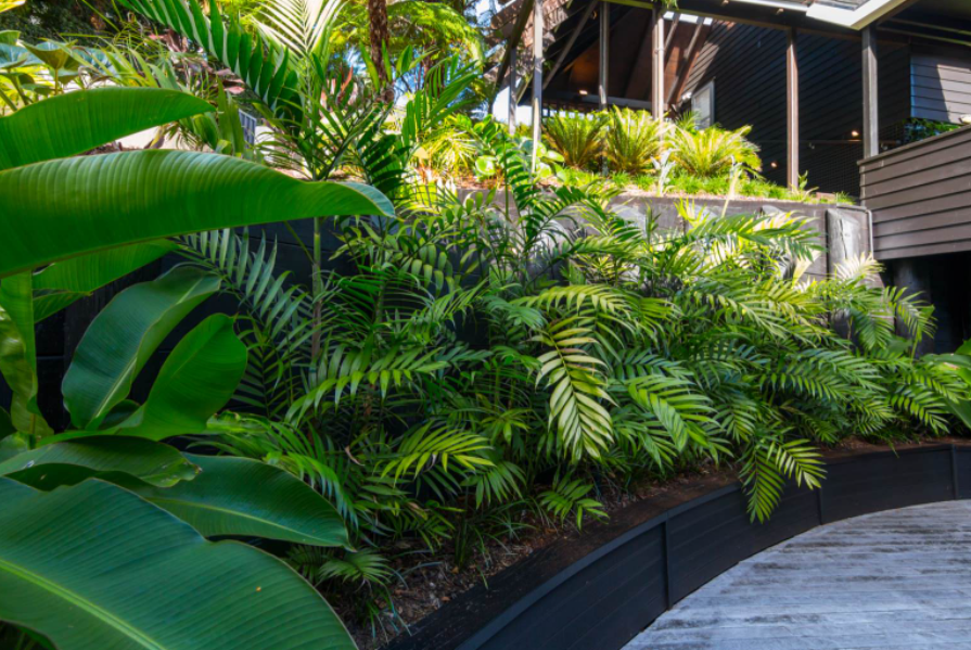 Landscaping services in Auckland