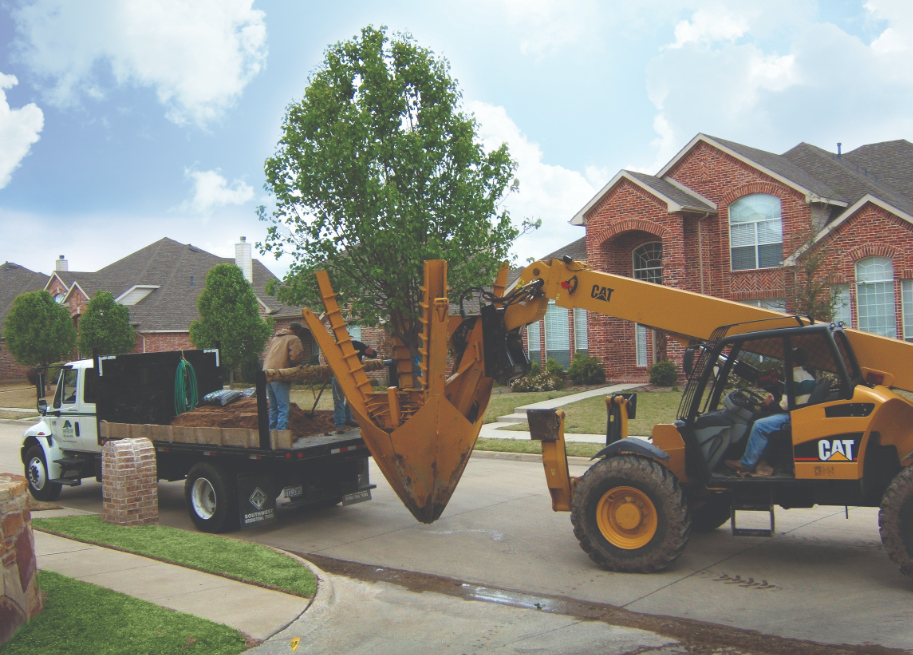 Benefits Of Tree Relocation Services In Logan