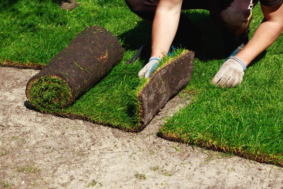 How to Build a DIY Sod Installation That Won’t Die on You!