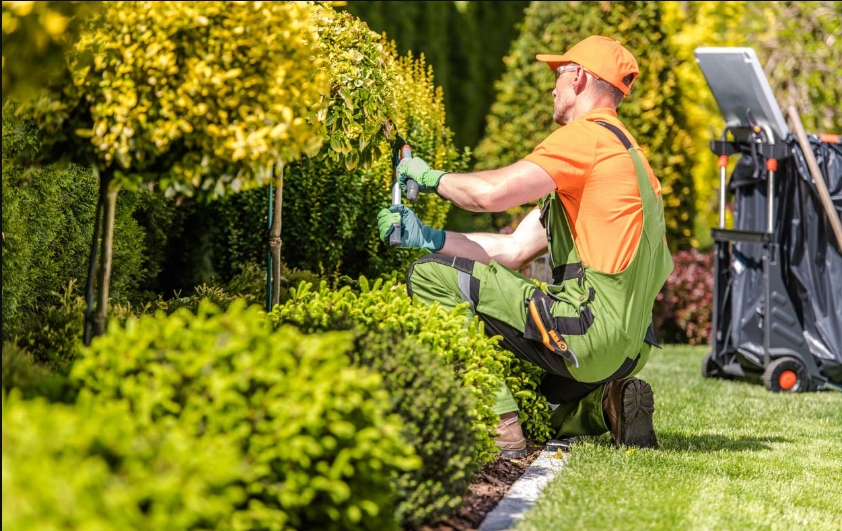 How to Approach Front Yard Versus Backyard Landscaping