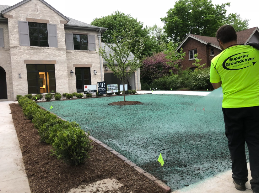 Achieving a Vibrant and Healthy Turf: The Benefits of Hydroseeding
