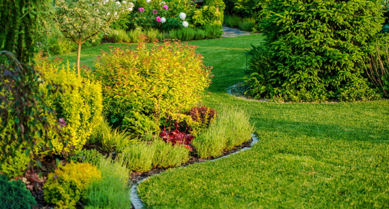 Garden Services Near Me: Why You Need Year-Round Yard Care