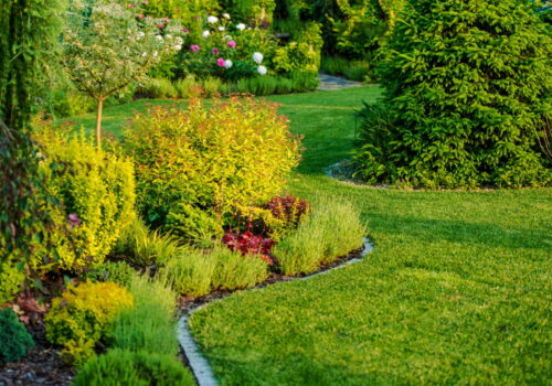 Garden Services Near Me: Why You Need Year-Round Yard Care