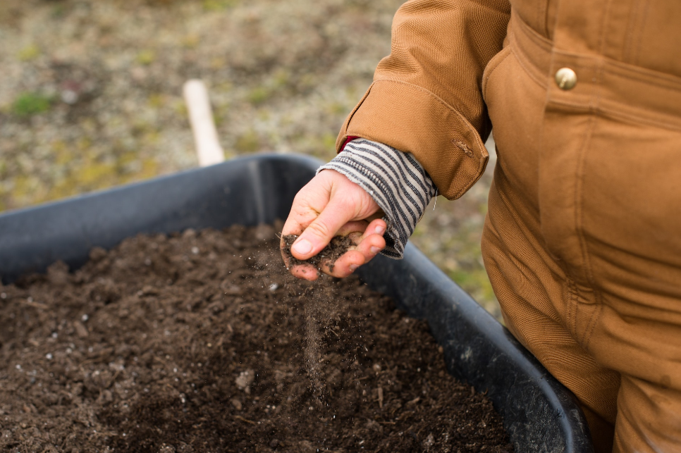 5 Essential Ingredients for Nutrient-Rich Garden Soil