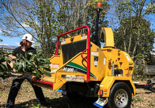 5 Essential Reasons Why Timely Tree Chipping is Crucial