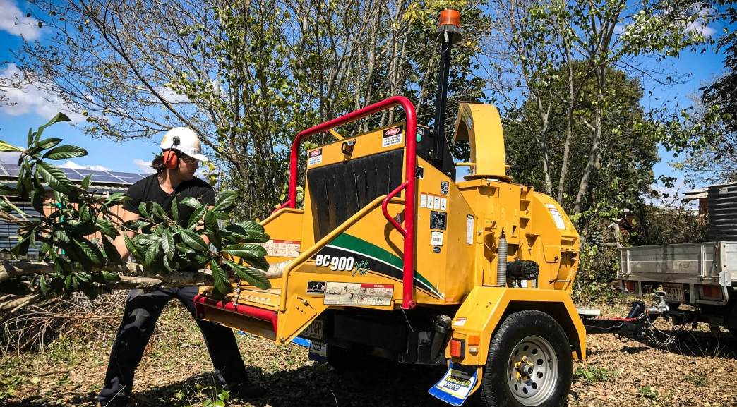 5 Essential Reasons Why Timely Tree Chipping is Crucial