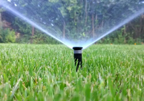 Why You Should Consider an Automatic In-Ground Sprinkler System?