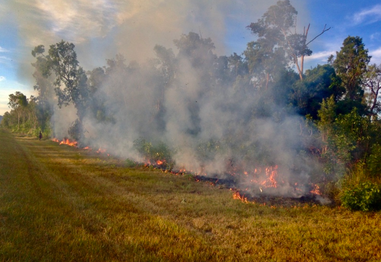 bushfire hazard assessments
