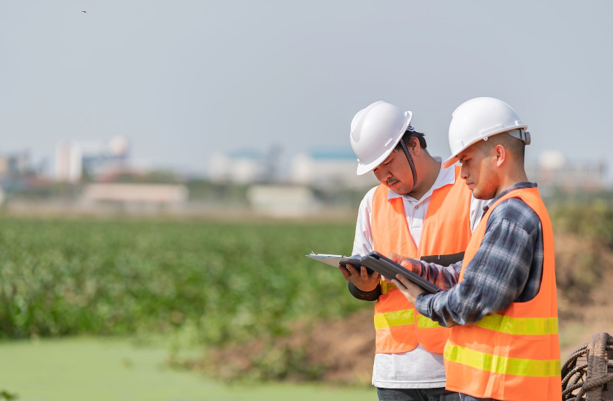 environmental consultant on the Gold Coast