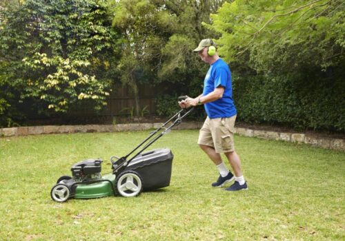 Transform Outdoor Space With Northern Beaches Garden Care