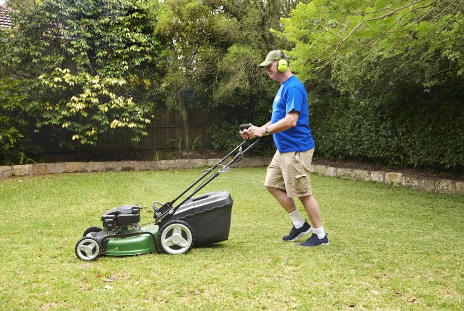 Transform Outdoor Space With Northern Beaches Garden Care