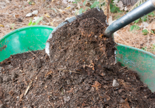 3 Secrets to a Lush Garden Using Gold Coast Mulch