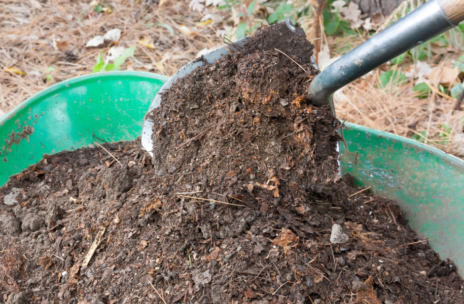 3 Secrets to a Lush Garden Using Gold Coast Mulch