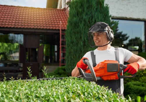 Top Signs It’s Time to Hire Expert Garden Maintenance Services