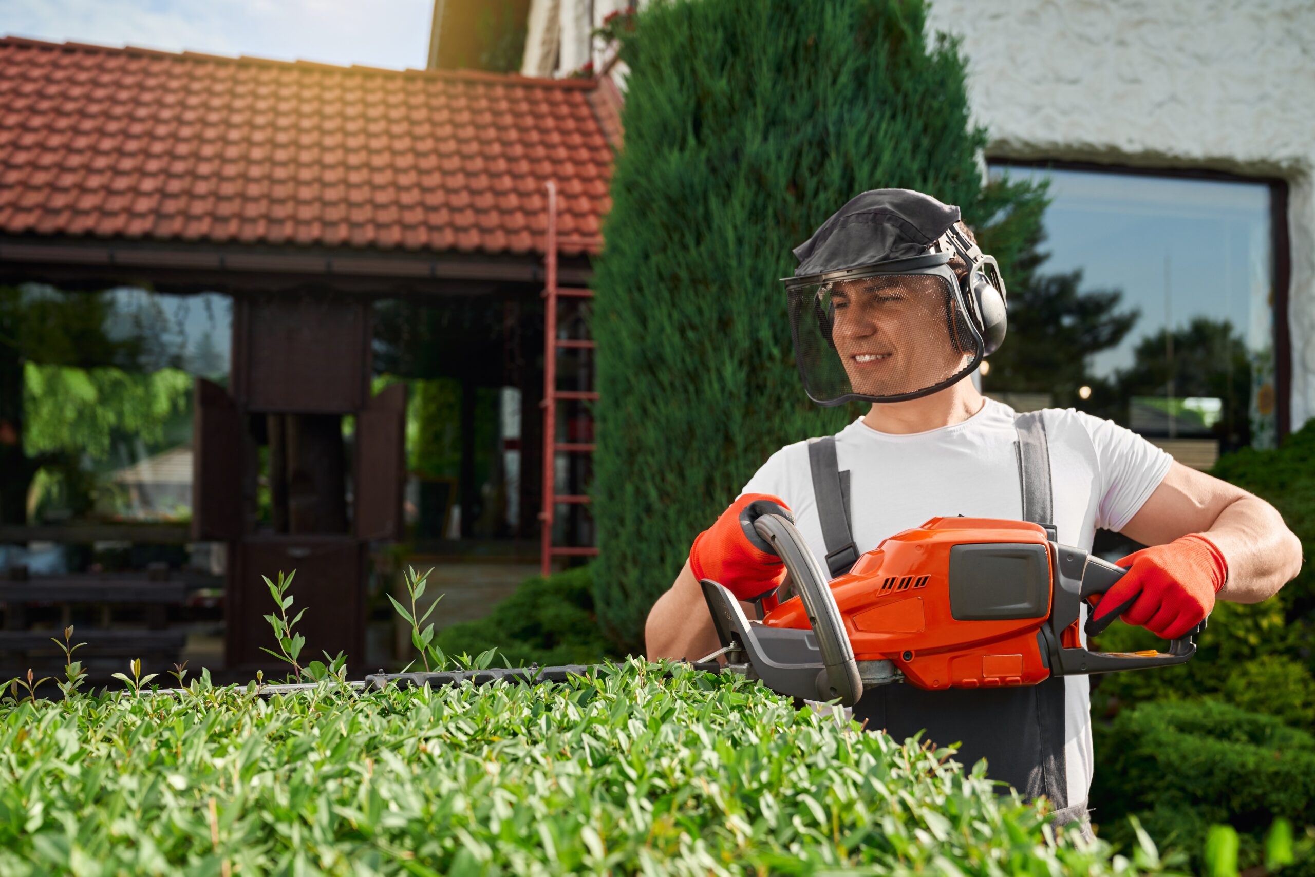 expert garden maintenance