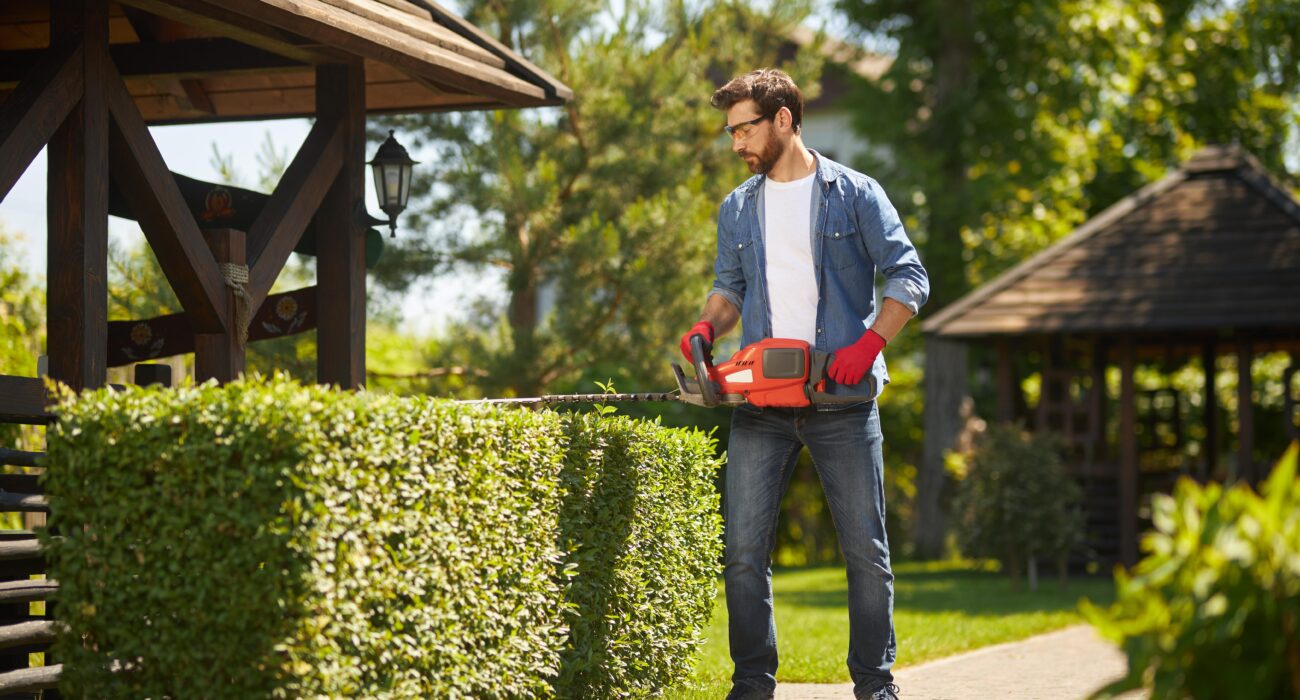 How to Choose the Right Garden Service Provider in Sydney?