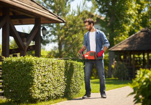 How to Choose the Right Garden Service Provider in Sydney?