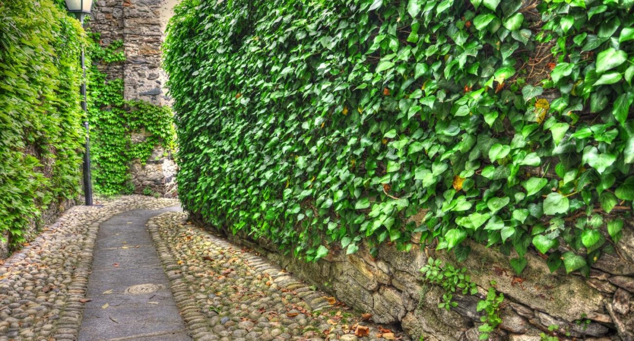 Elevate Your Outdoor Space: Finding the Right Contractor for Your Retaining Wall Landscaping Project