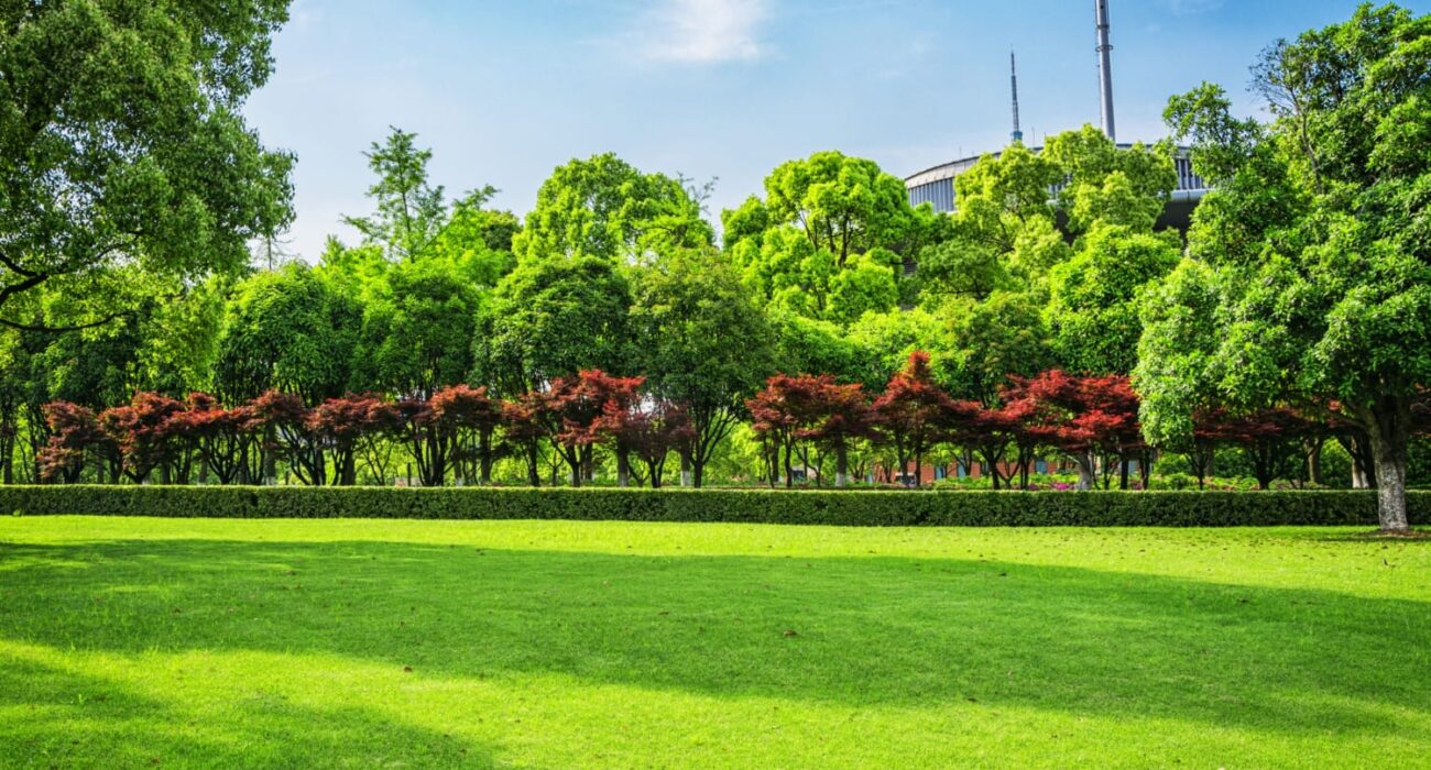 The Importance of Timely Garden and Lawn Maintenance