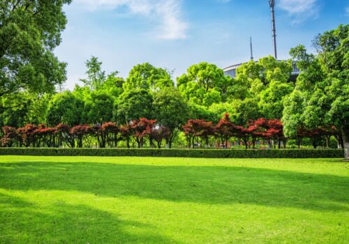 The Importance of Timely Garden and Lawn Maintenance The Importance of Timely Garden and Lawn Maintenance