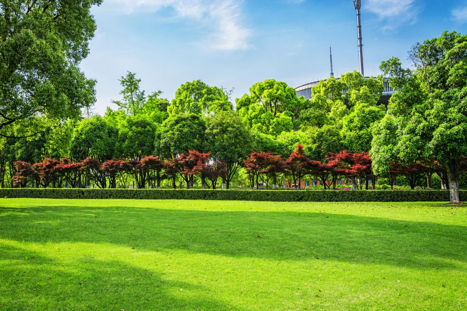 Garden and lawn maintenance