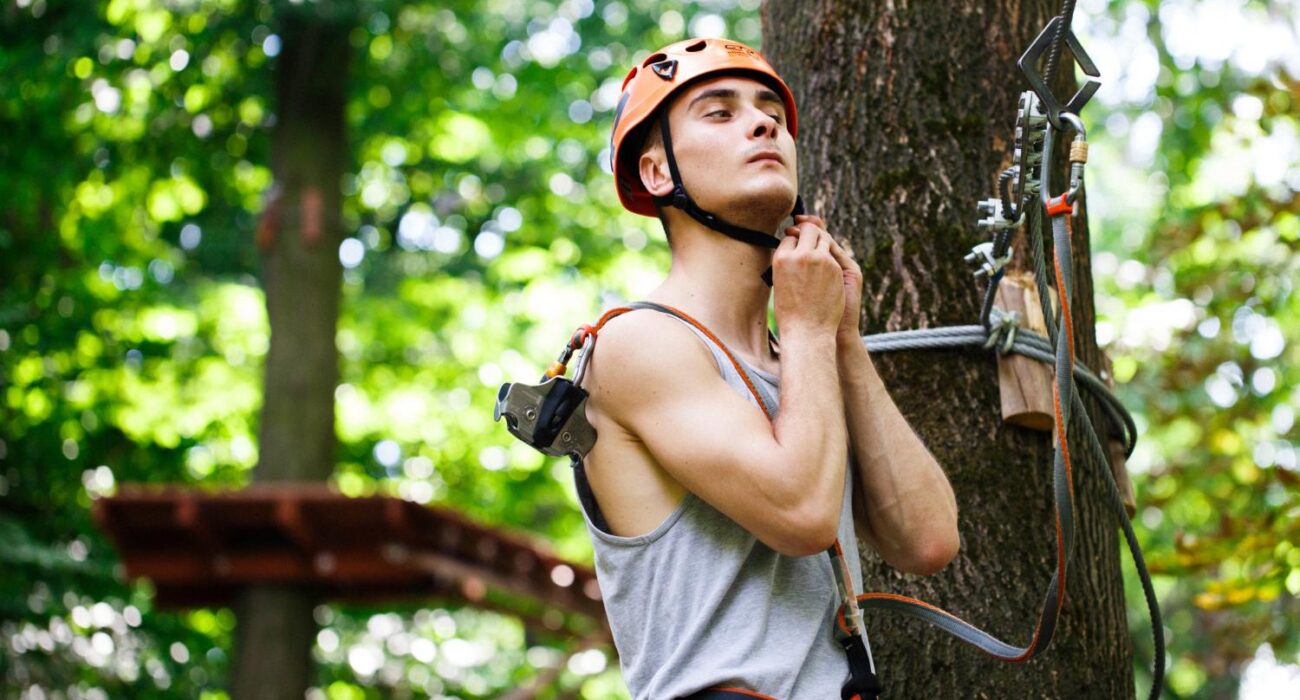 How to Choose a Certified Arborist: Questions to Ask Before Hiring