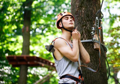 How to Choose a Certified Arborist: Questions to Ask Before Hiring