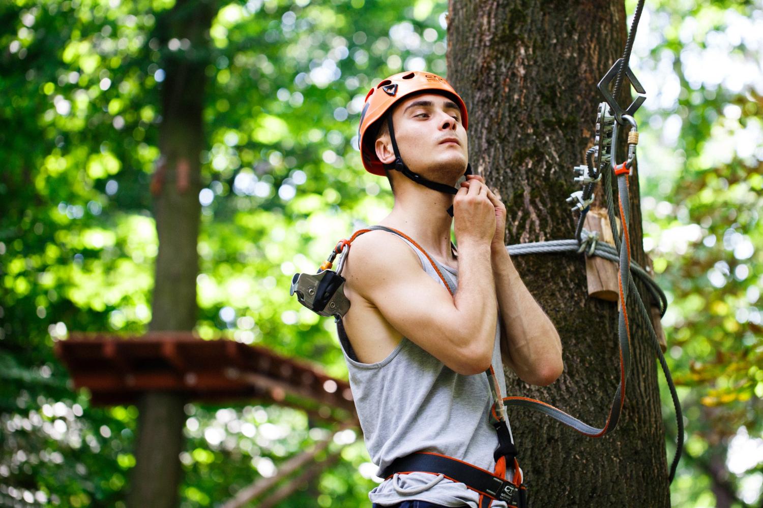 Certified Arborist