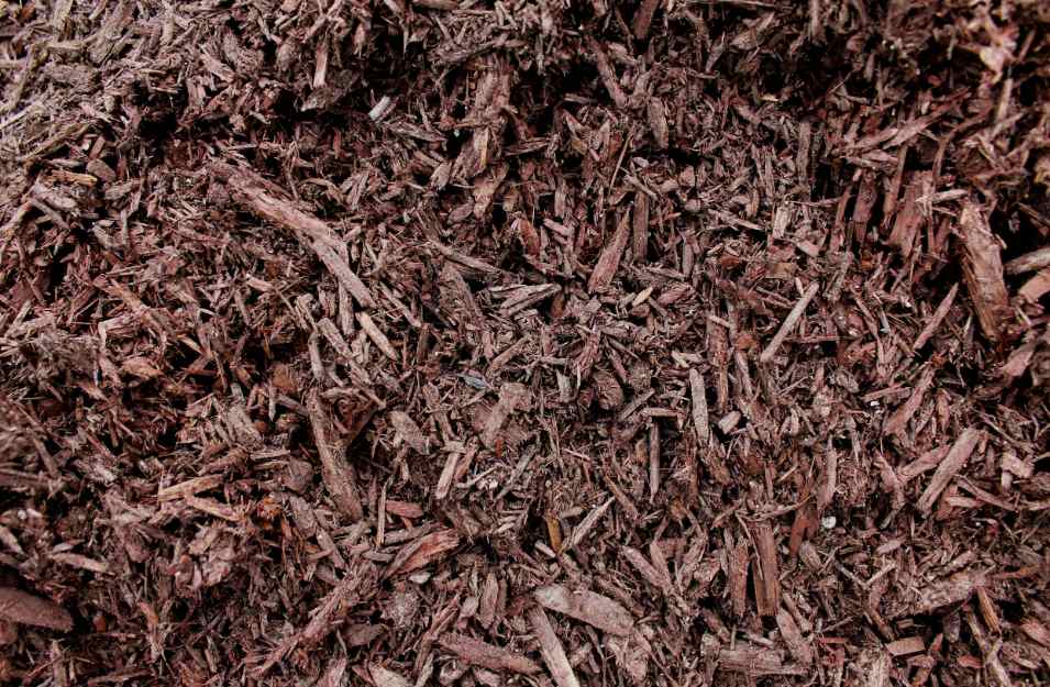 Gold Coast Mulch from Frontier Tree Services: Quality Mulch for Gold Coast Gardens and Landscaping